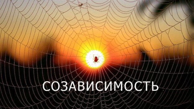 созависимость